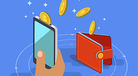 Le peculiarità di un portafoglio di criptovalute, le chiavi private e le capacità di acquistare criptovalute e di evitare errori umani grazie a portafogli altamente sicuri.
