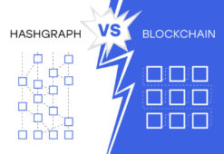 Hashgraph vs. Blockchain