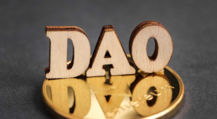 2022年最佳加密货币DAO