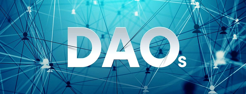 DAOの国庫とその特殊性