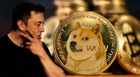 Dogecoin Project Promotion: Revolutionary Meme in the Crypto Industry
