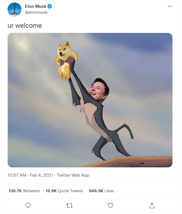 Elon Musk about the Dogecoin | Cryto investments and financial markets in 2022