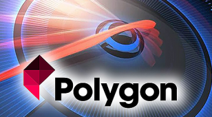 Polygon: An Ideal Blockchain With Unideal Hacking Cases