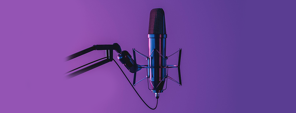 DeFi projects and week's defiant podcast: all about crypto wallet, govern crypto, biometric encryption, market makers and crypto regulatory landscape in these podcasts