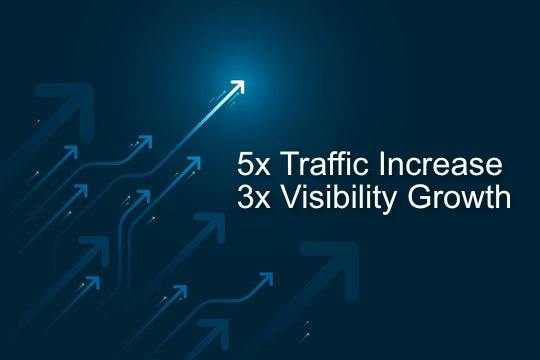 5x Organic Traffic Growth in Just 6 Months