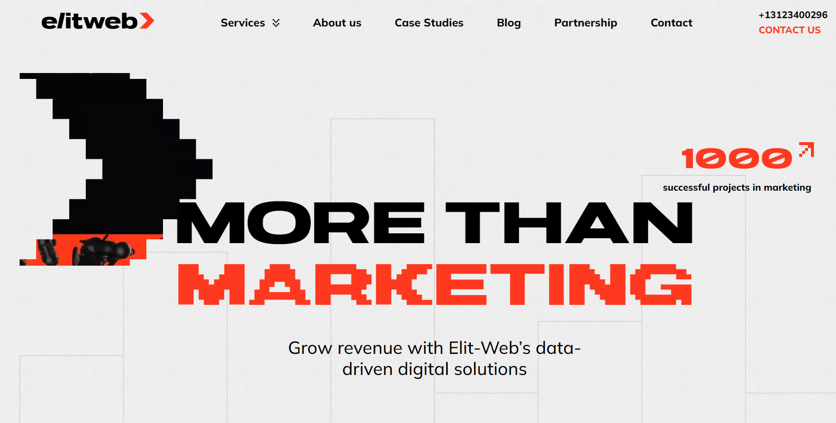 Elit-Web Marketing Agentur.