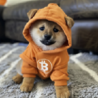 Dog memecoin homepage highlighting fair distribution on Bitcoin, the best cheap crypto to buy now for community-driven growth.