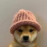 dogwifhat homepage with Shiba Inu meme appeal, a popular choice for the cheap crypto to buy now.
