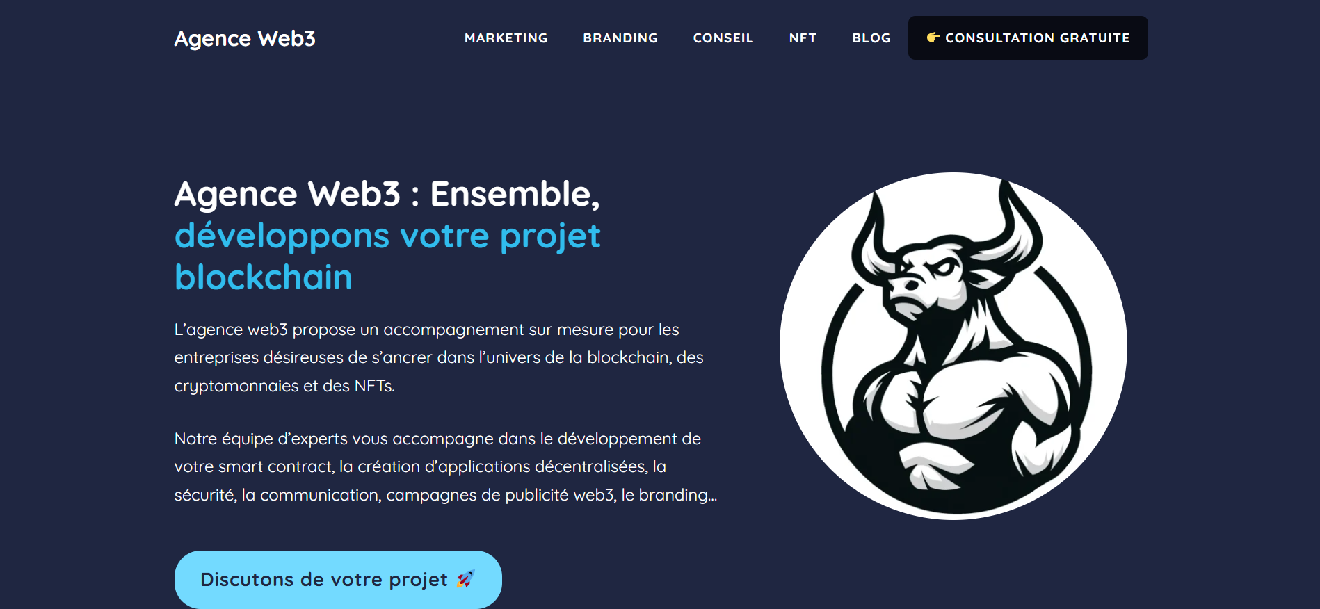 Agence Web3 website displaying NFT marketing services - technical crypto marketing agency in France with smart contract expertise