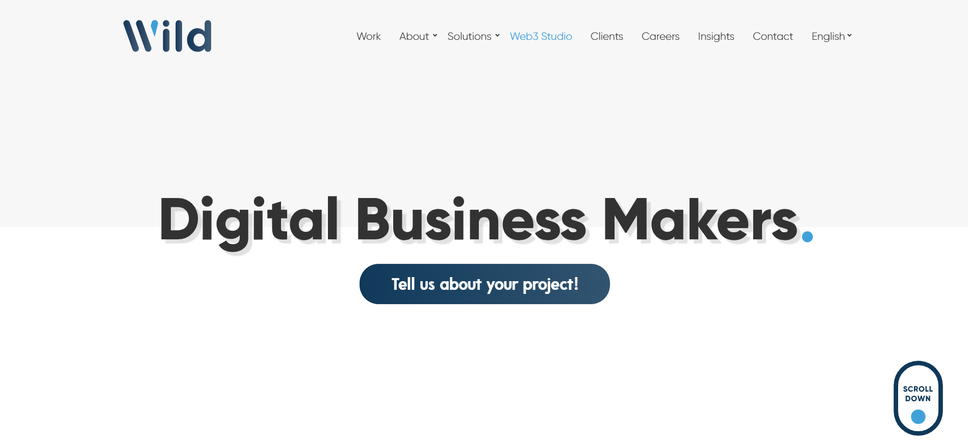 Wild Solutions website displaying international Web3 services - global crypto marketing agency with France operations