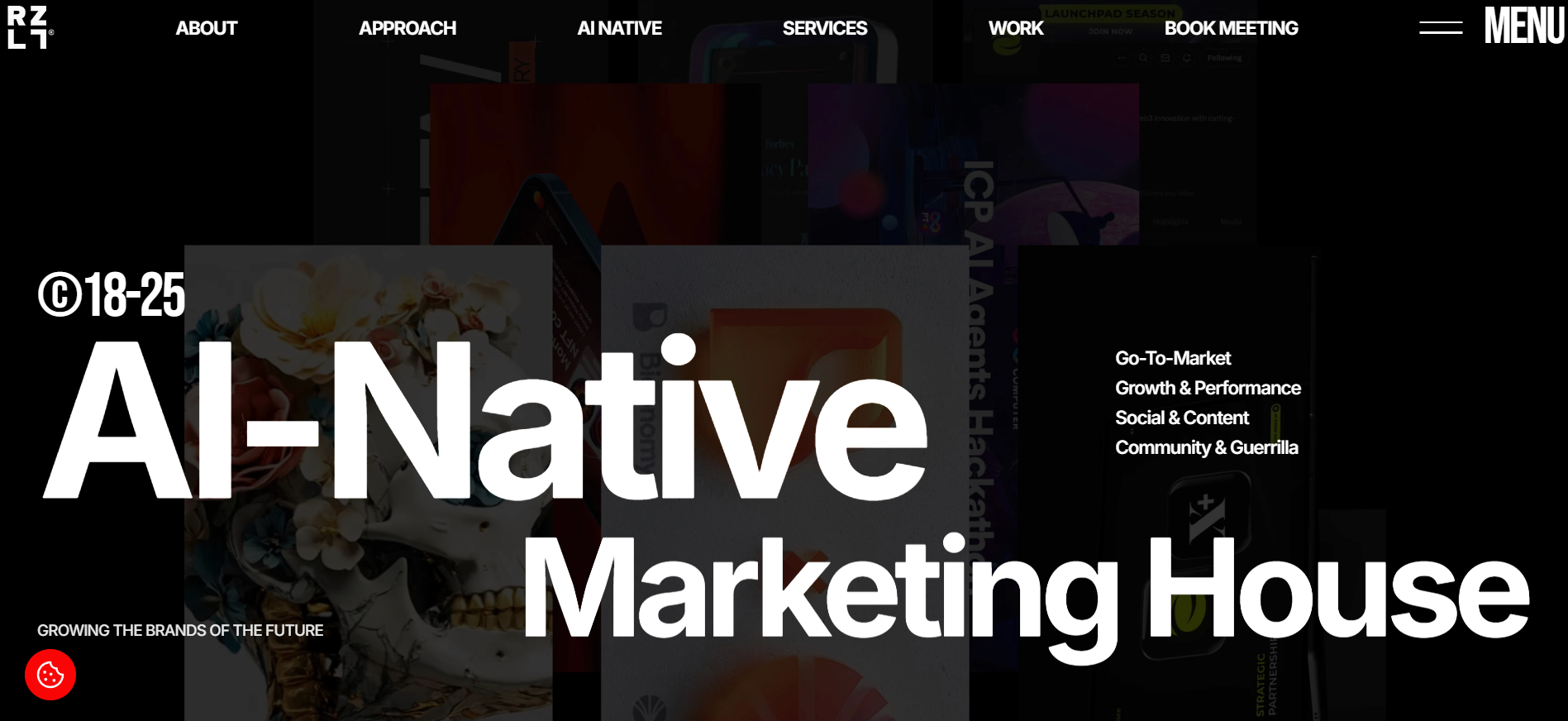 RZLT homepage featuring AI powered Web3 marketing solutions for DeFi protocols with intelligent community analytics, automated crypto campaign optimization, and next generation blockchain promotion strategies