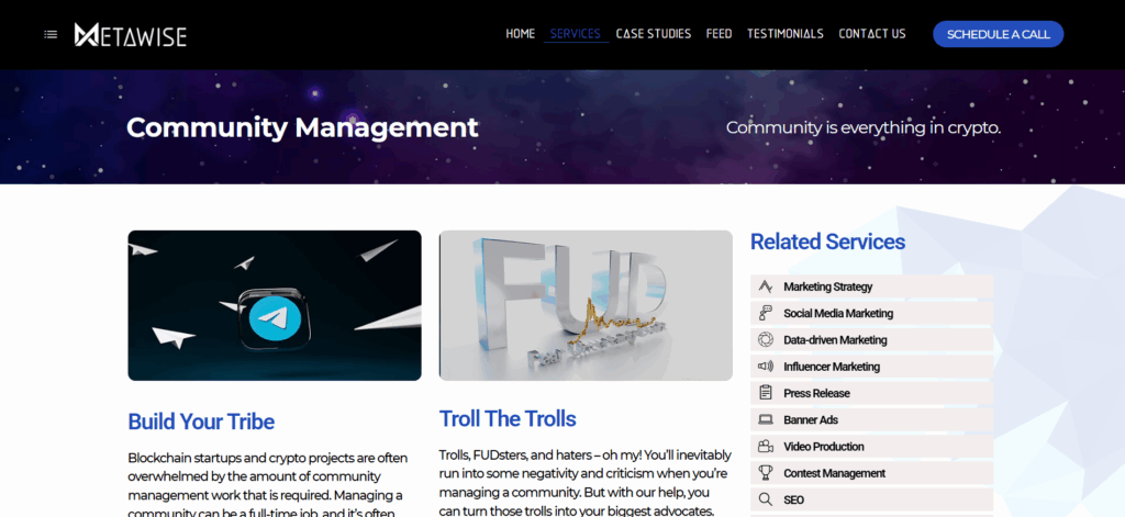Il sito web di MetaWise mostra la creazione di una comunità web3 personalizzata per le startup di criptovalute e le raccolte NFT.