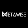 MetaWise logo boutique NFT community management agency.