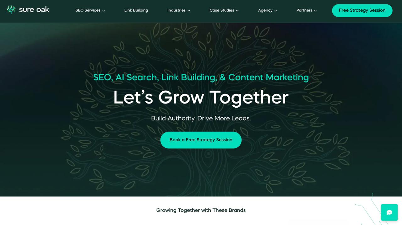 Sure Oak 金融科技搜索引擎优化机构主页，拥有专有的搜索引擎优化游戏计划方法和 20 年的金融科技优化经验