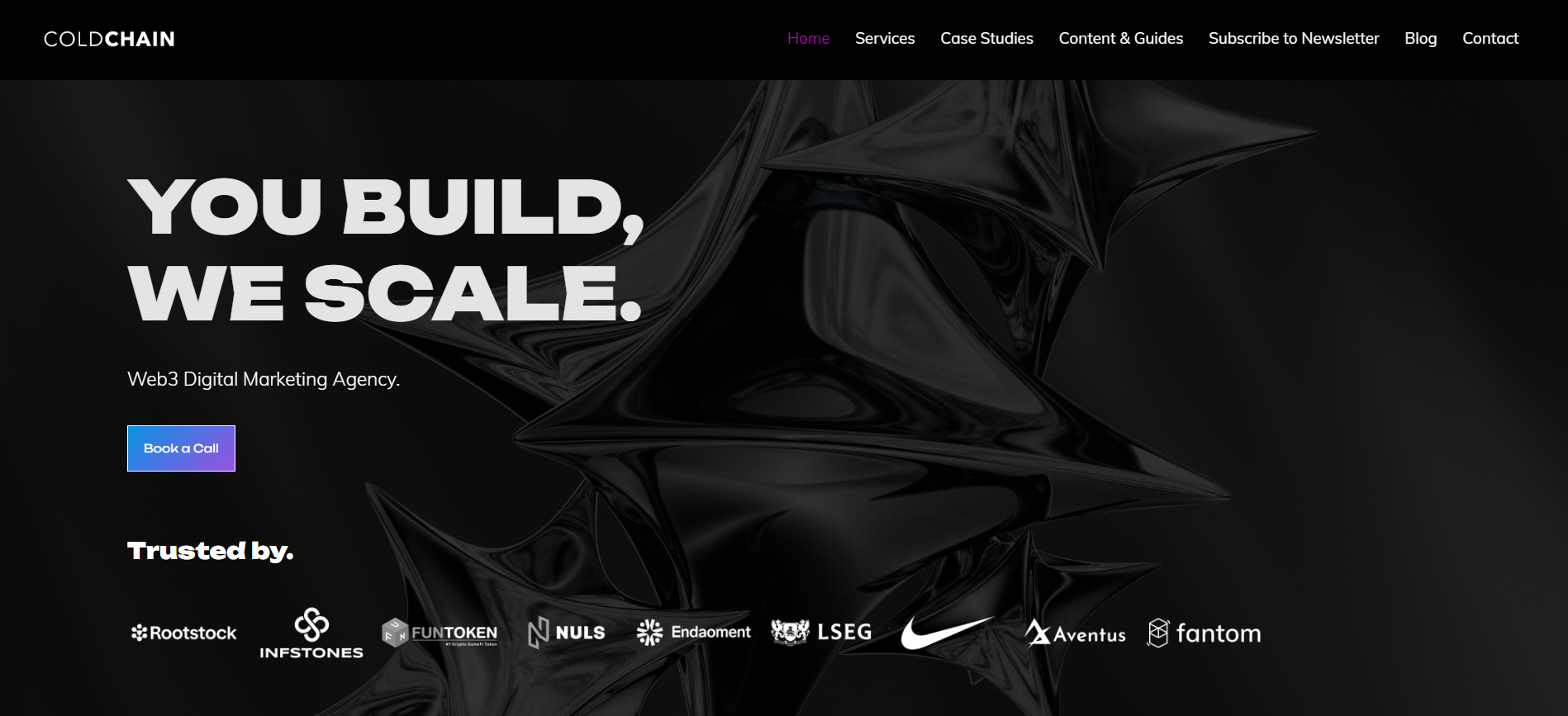 ColdChain Agency website featuring pre-TGE crisis preparation and boutique crypto damage control services.