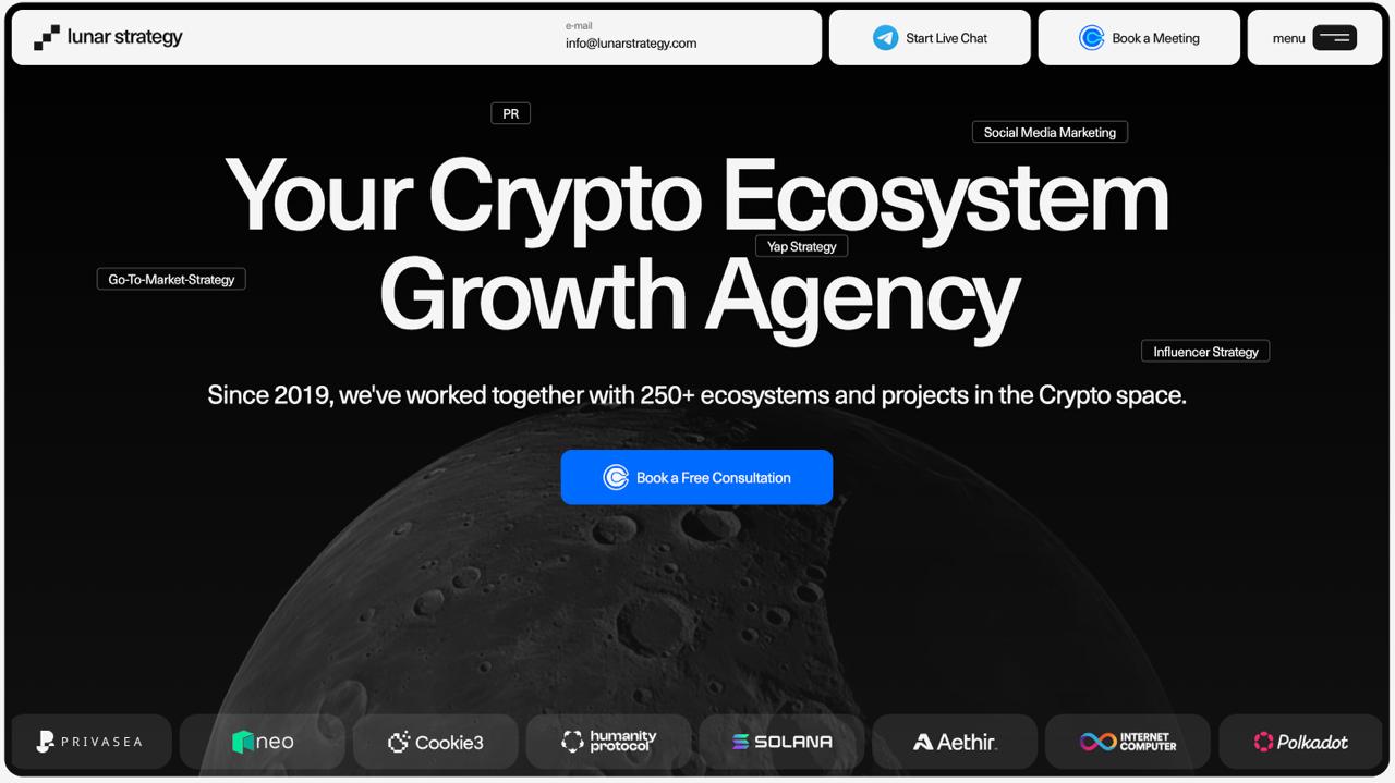 NFT 및 블록체인 게임 프로젝트를 위한 통합 웹3.0 마케팅 및 SEO 서비스를 소개하는 루나 스트래티지 웹사이트