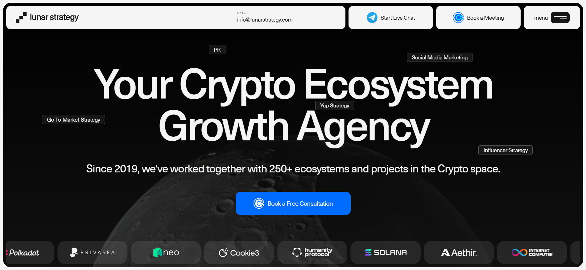 Lunar Strategy 加密生态系统增长机构主页,介绍 Polkadot、Solana 和 Internet Computer 等顶级客户。