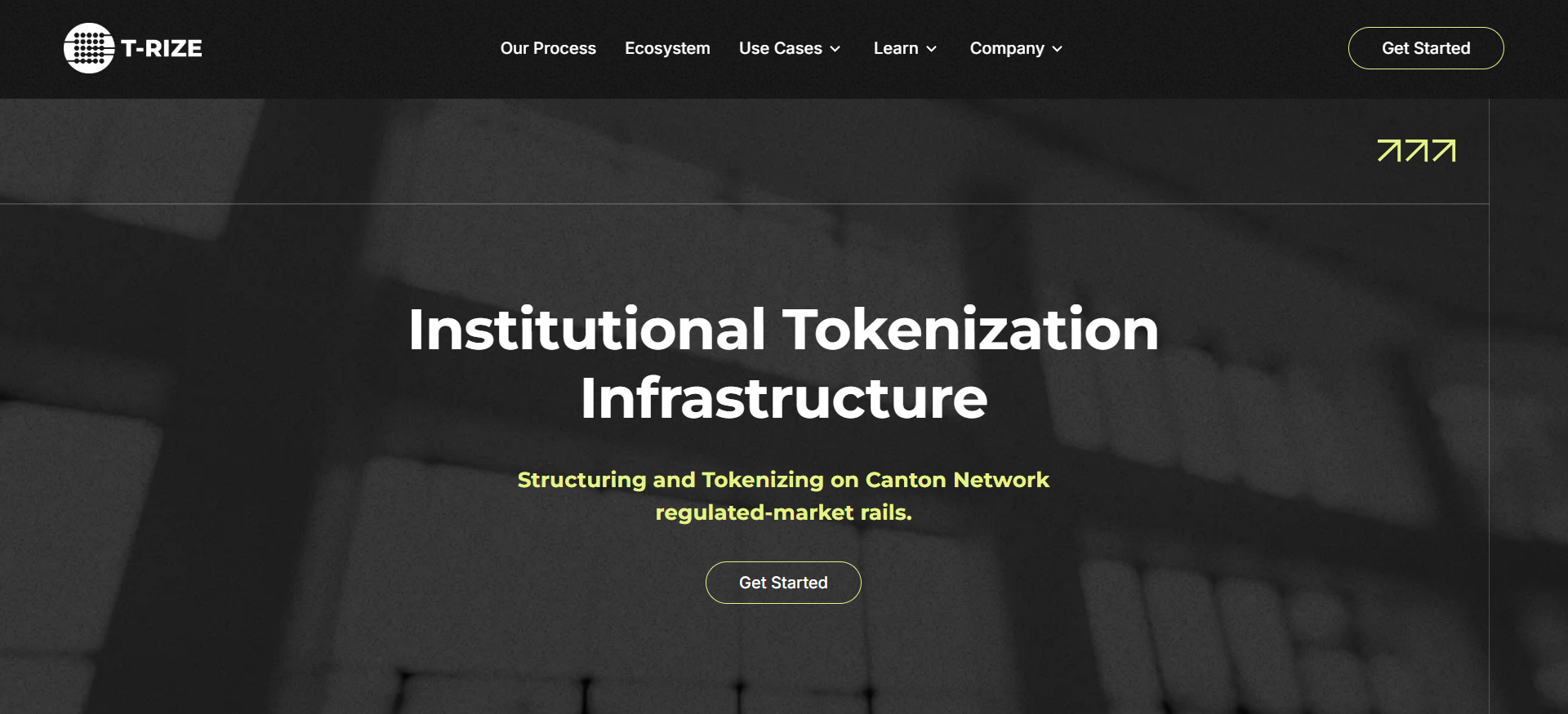  T-RIZE structuring and tokenizing real estate on Canton Network regulated market rails for RWA crypto presale February 2026.