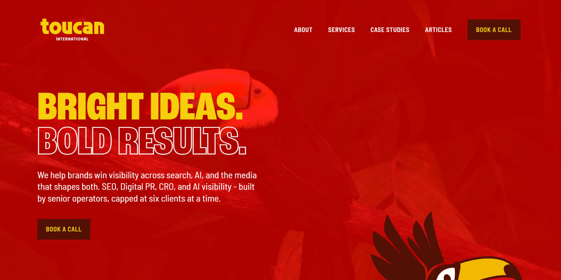 Toucan International SEO and digital PR agency.
