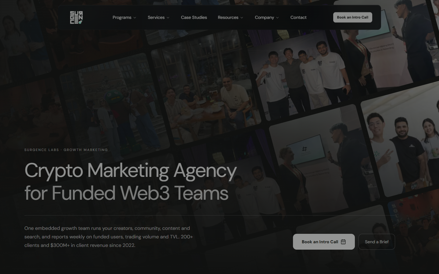 Surgence Labs homepage with the headline Crypto Marketing Agency for Funded Web3 Teams
